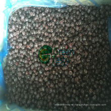 High Quality Frozen IQF Wild Blackcurrant